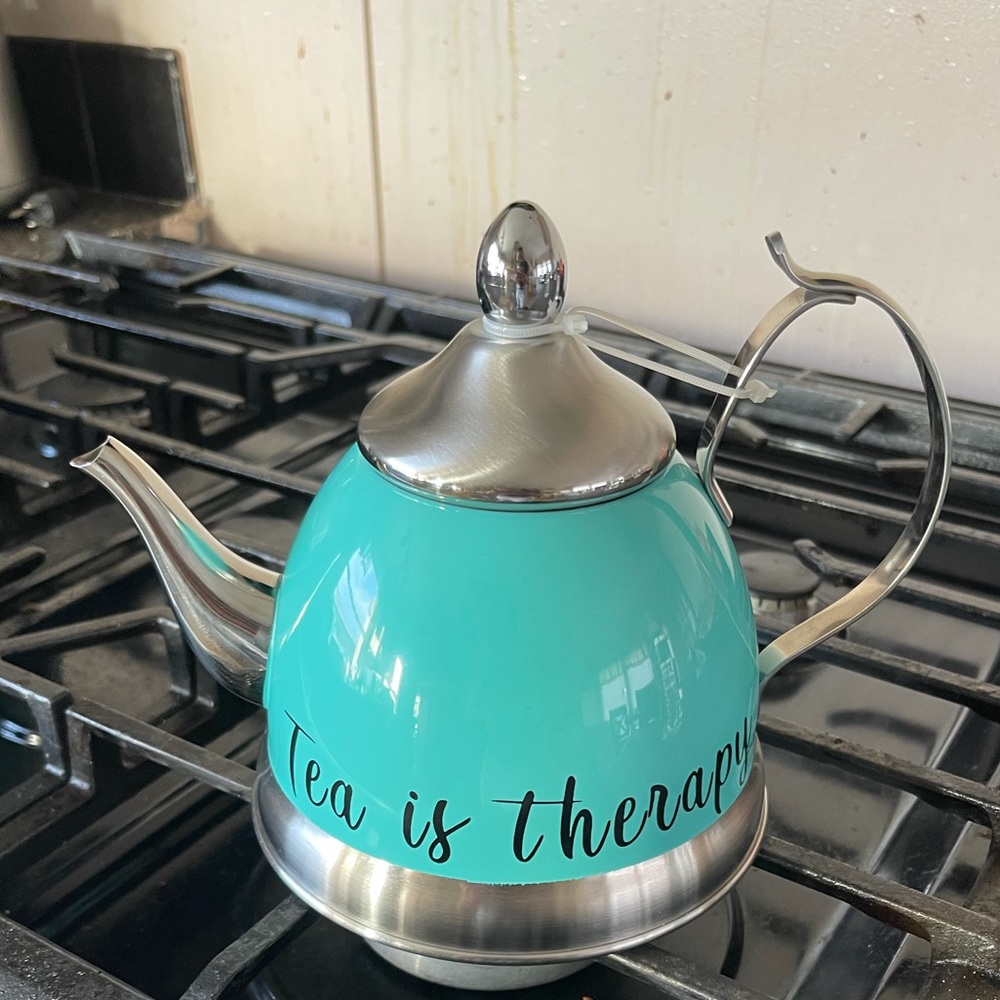 Brand new Tea Kettle